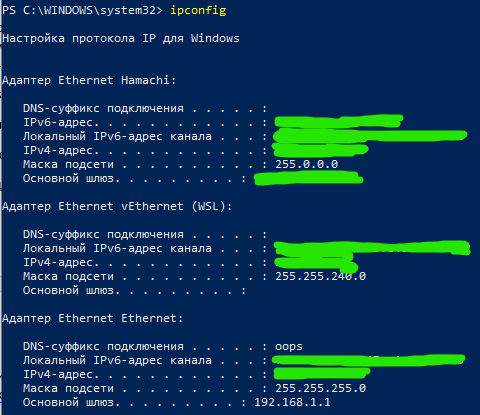 Рис. 4. Виртуальный интерфейс Hamachi в утилите ipconfig.