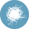 author-logo